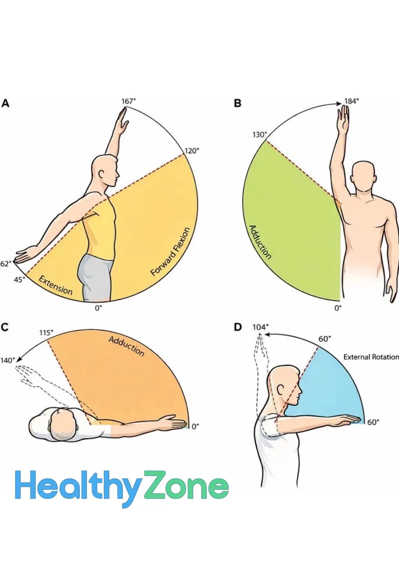 HealthyZone chart of shoulder range of motion in flexion, extension, abduction and rotation